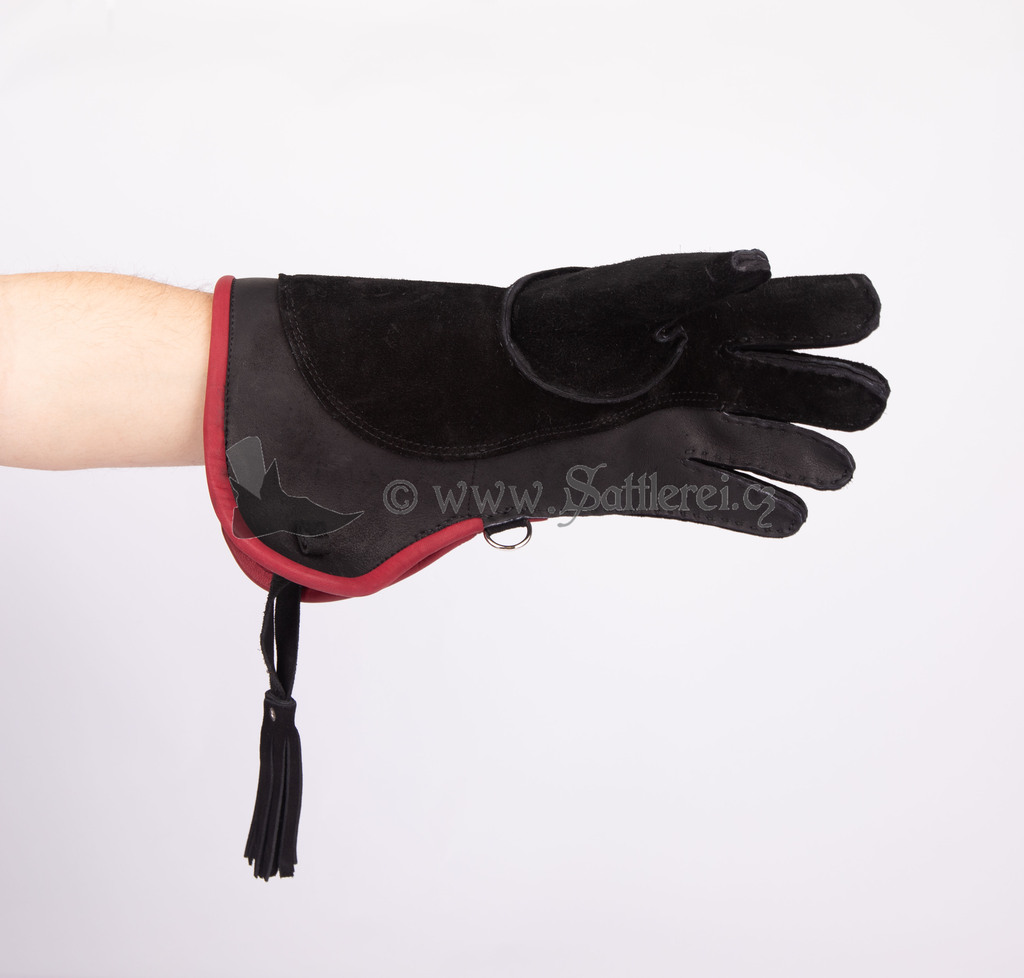 Gloves for falconer - Leather falconery Gloves